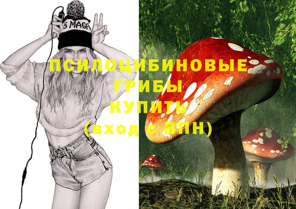 2c-b Михайлов