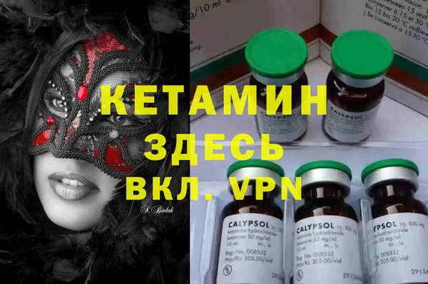 прущие грибы Бабаево