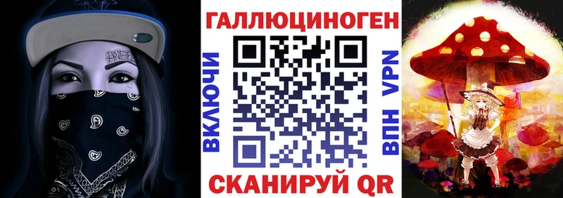 дарнет шоп  Орехово-Зуево  Псилоцибиновые грибы GOLDEN TEACHER 